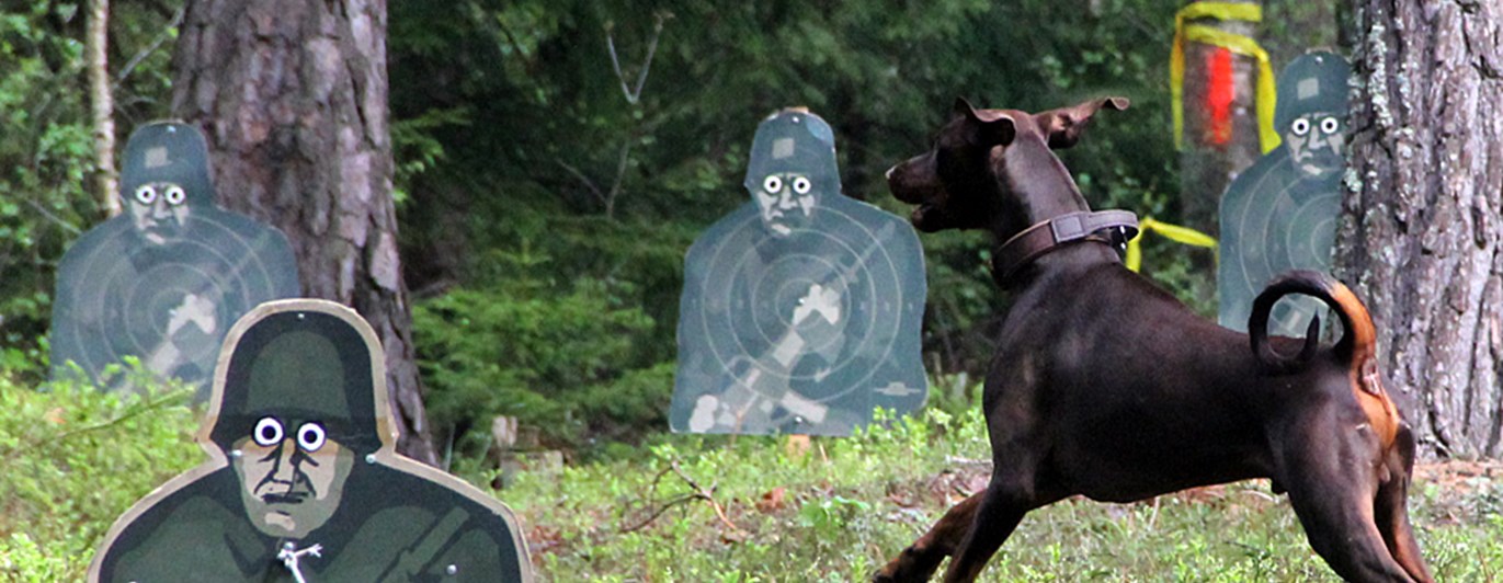 Dobermann vid MT, figurrad