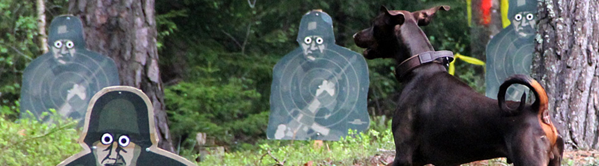 Dobermann vid MT, figurrad