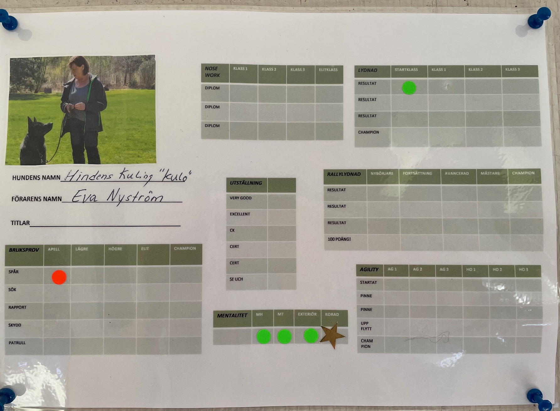 Titelkort Eva o Kulo