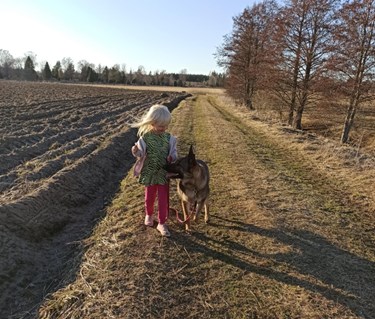 Barn med schäfer