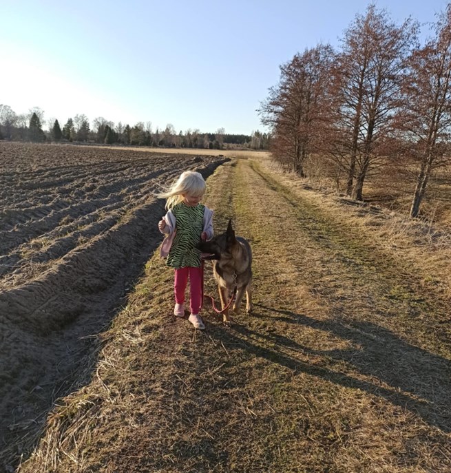 Barn med schäfer