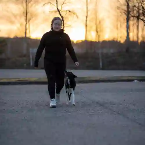 Sofia & hunden On tränar fotgående