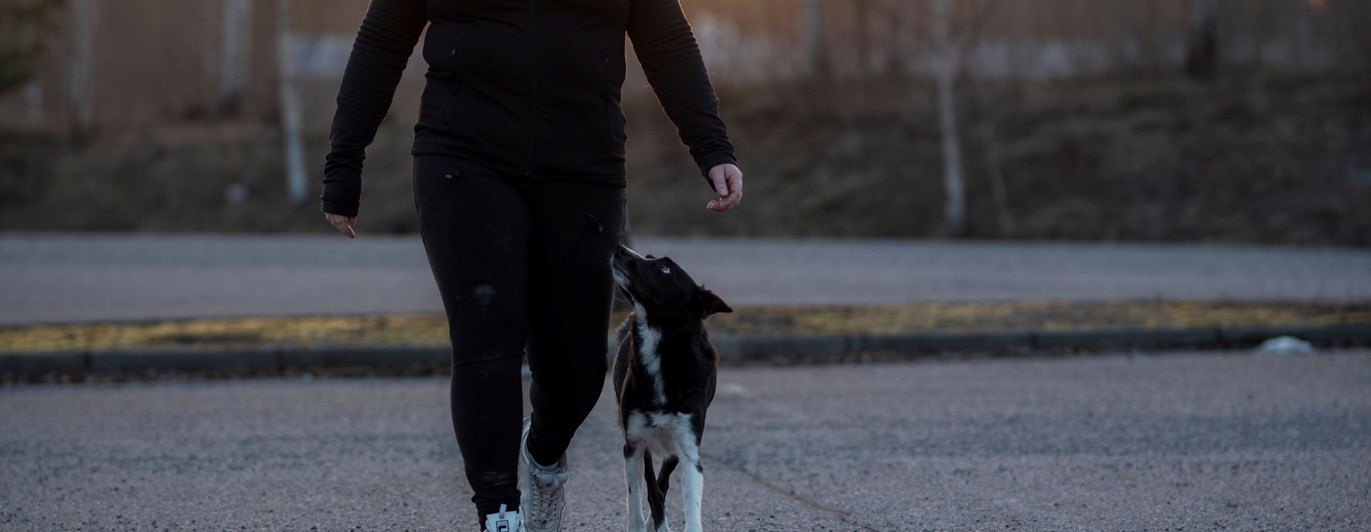 Sofia & hunden On tränar fotgående