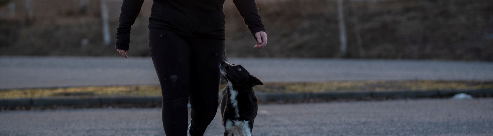 Sofia & hunden On tränar fotgående