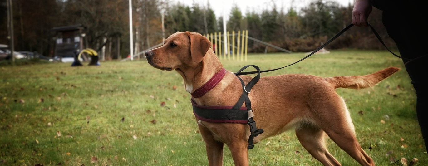 Fotograf: Amanda Nilsson