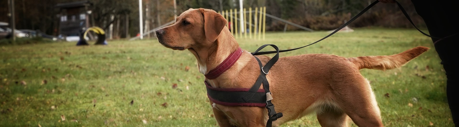 Fotograf: Amanda Nilsson