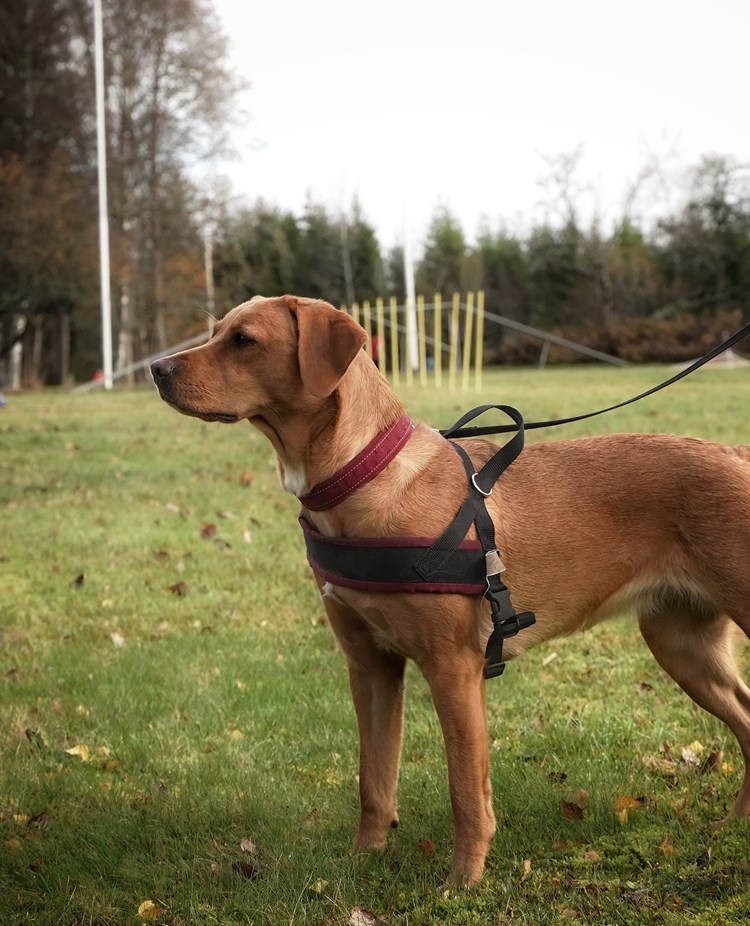 Fotograf: Amanda Nilsson