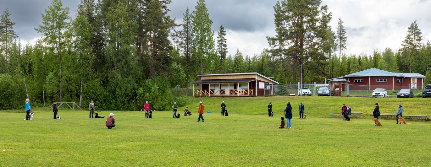 Klubbstugan. Folk tränar med sina hundar framför stugan.