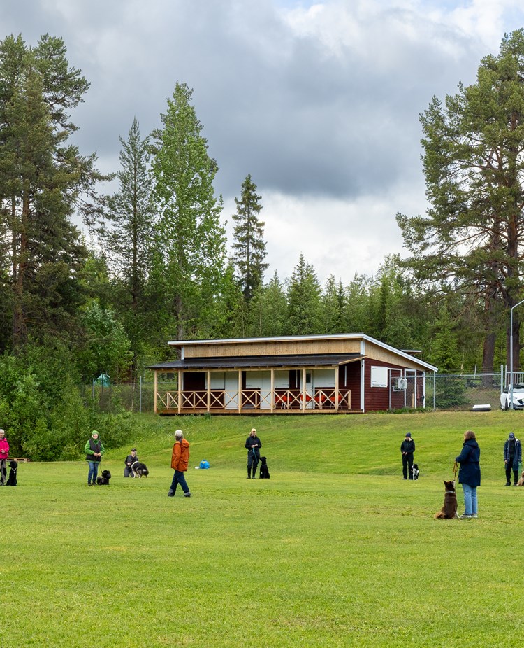 Klubbstugan. Folk tränar med sina hundar framför stugan.