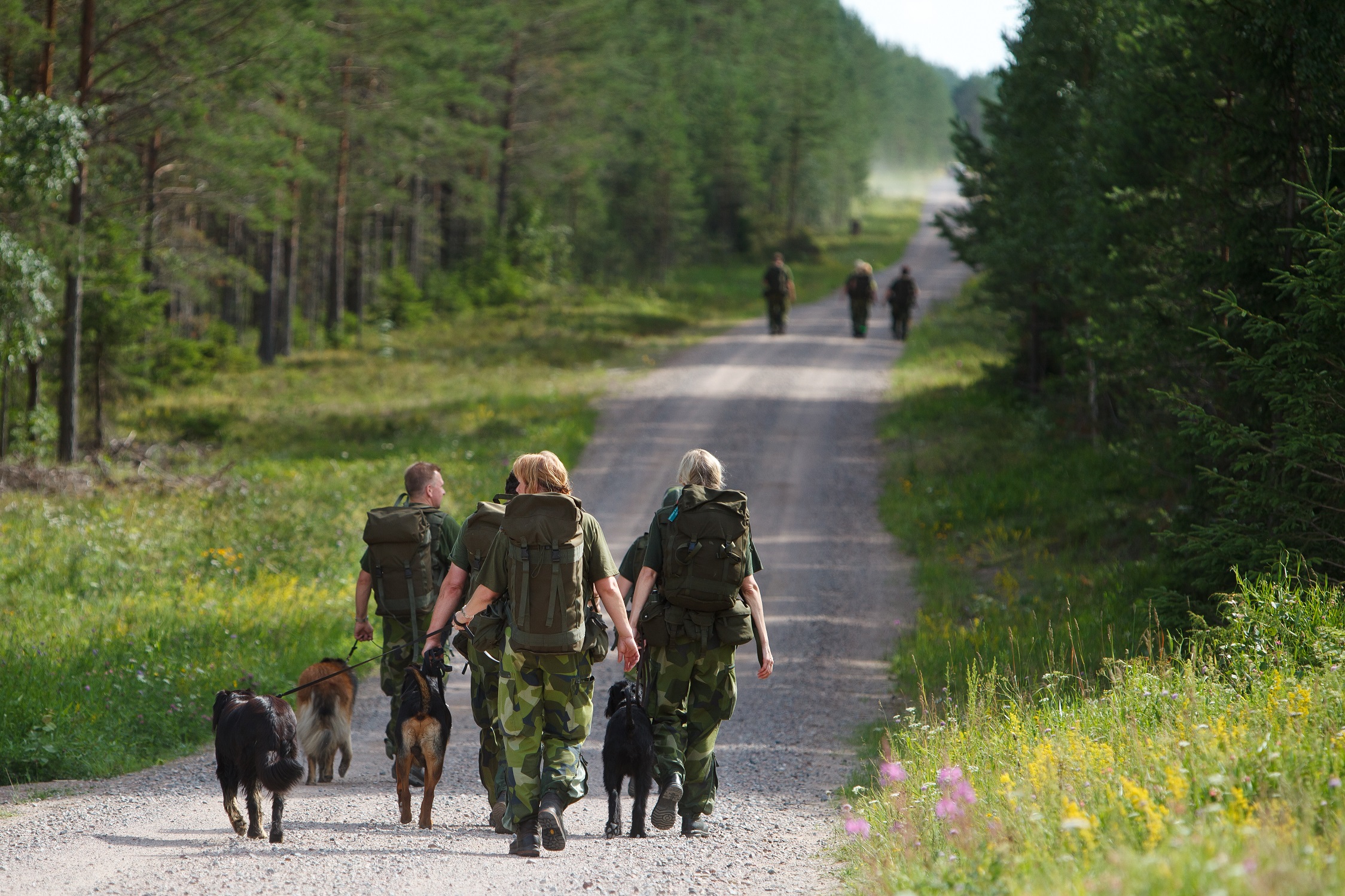 Fotograf: Magnus Fröderberg
