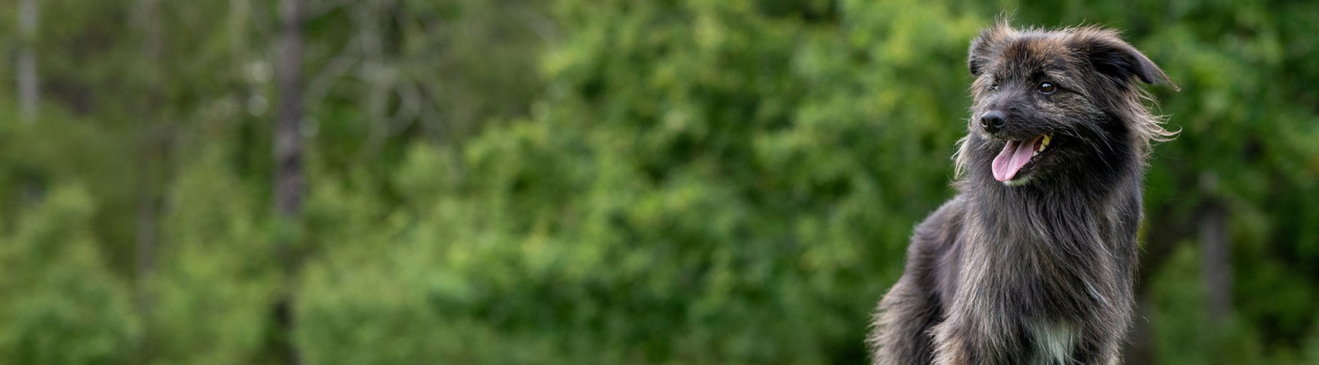 Target och balansboll