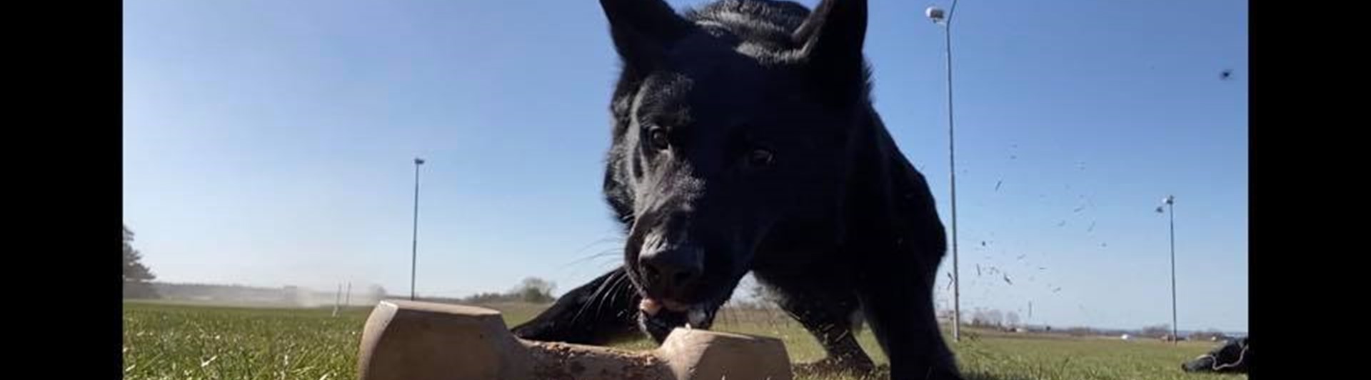 Tävlingslydnad Kurs Åhus BK