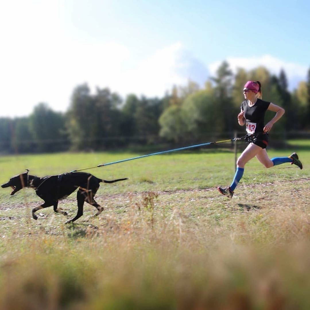 Person springer med draghund.