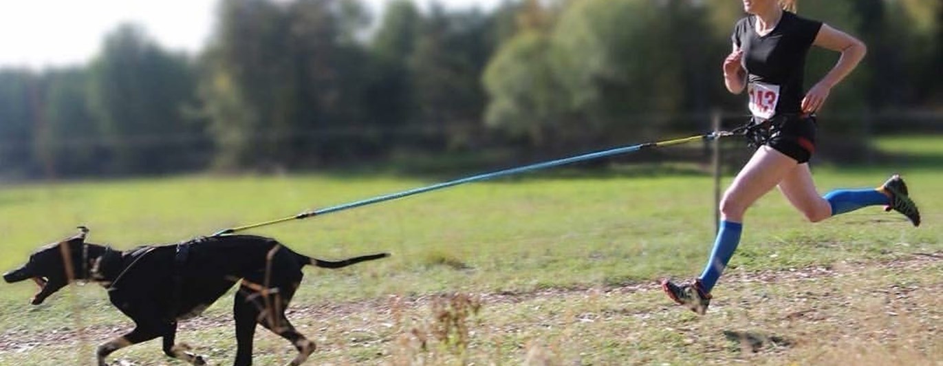 Person springer med draghund.