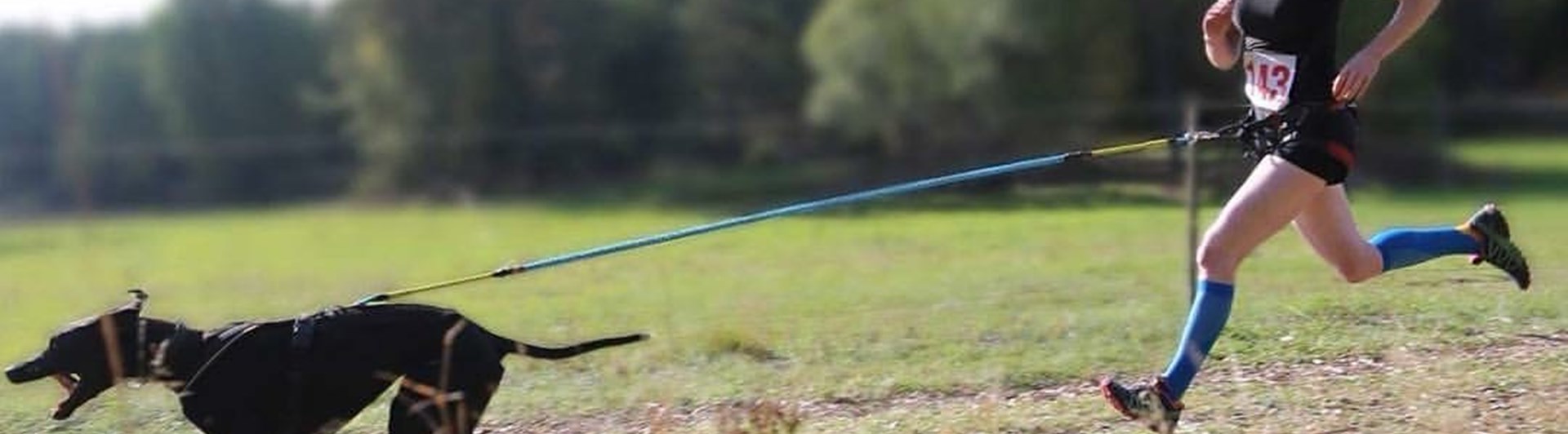 Person springer med draghund.