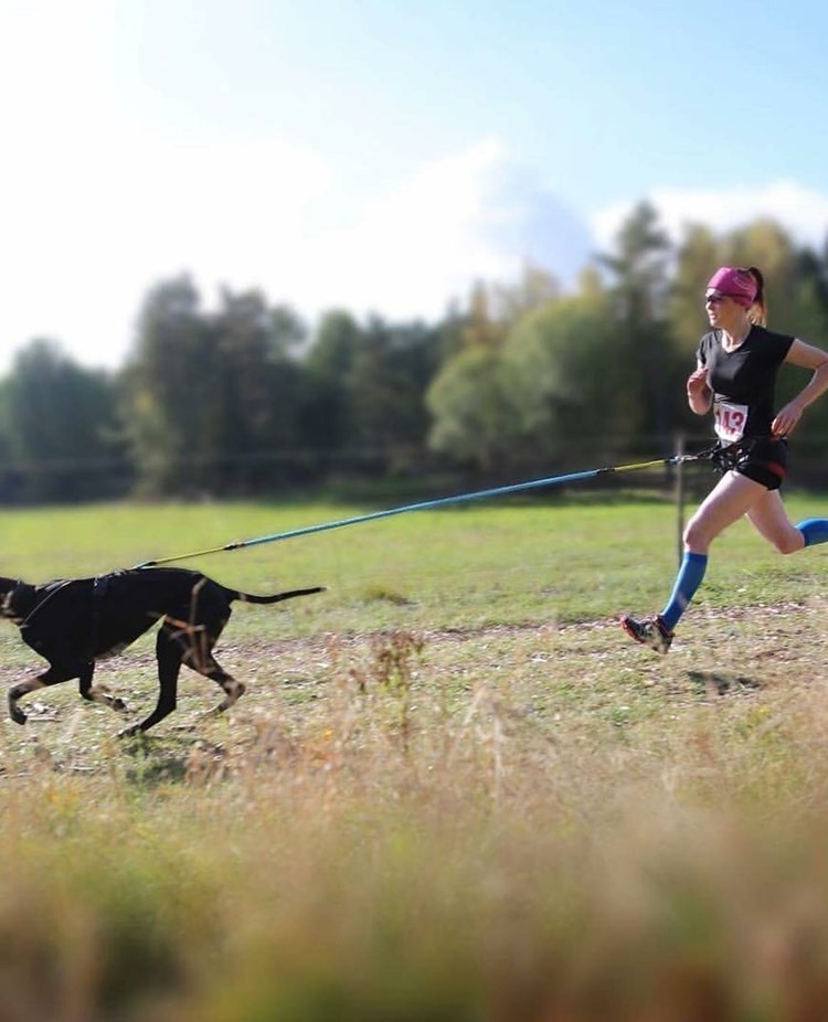 Person springer med draghund.