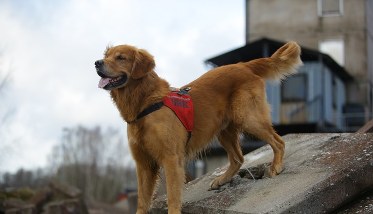 Fotograf: Christian Björses