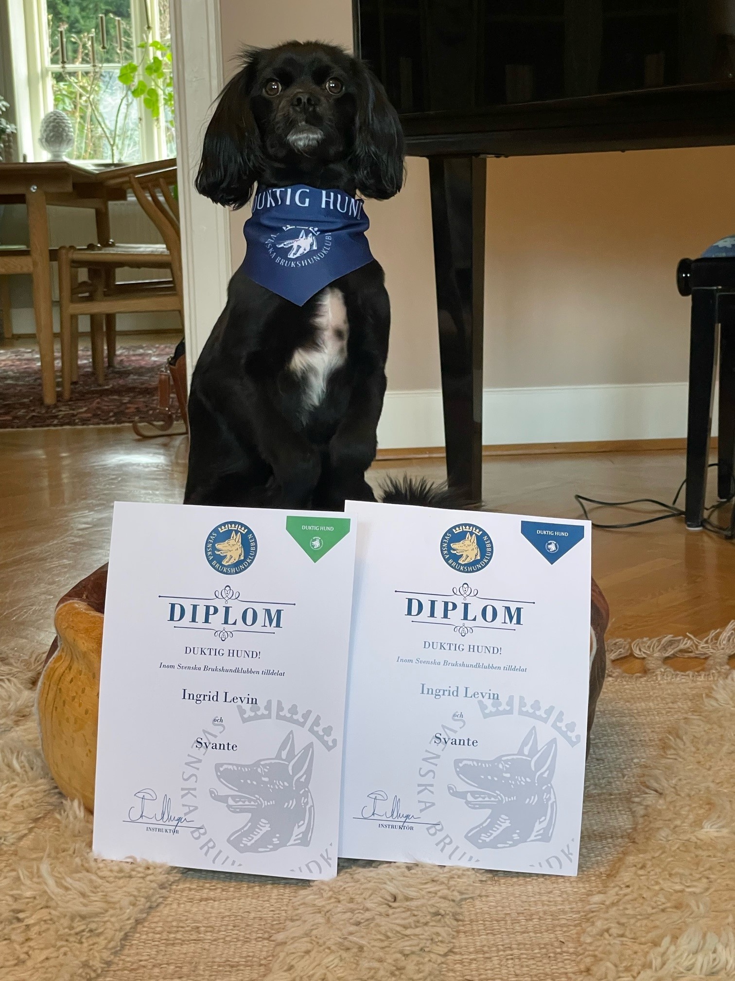 En stolt Svante som klarat både grön och blå diplomering. 