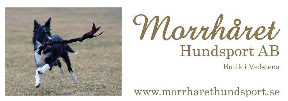 Morrhåret Hundsport