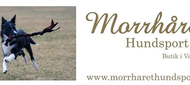 Morrhåret Hundsport