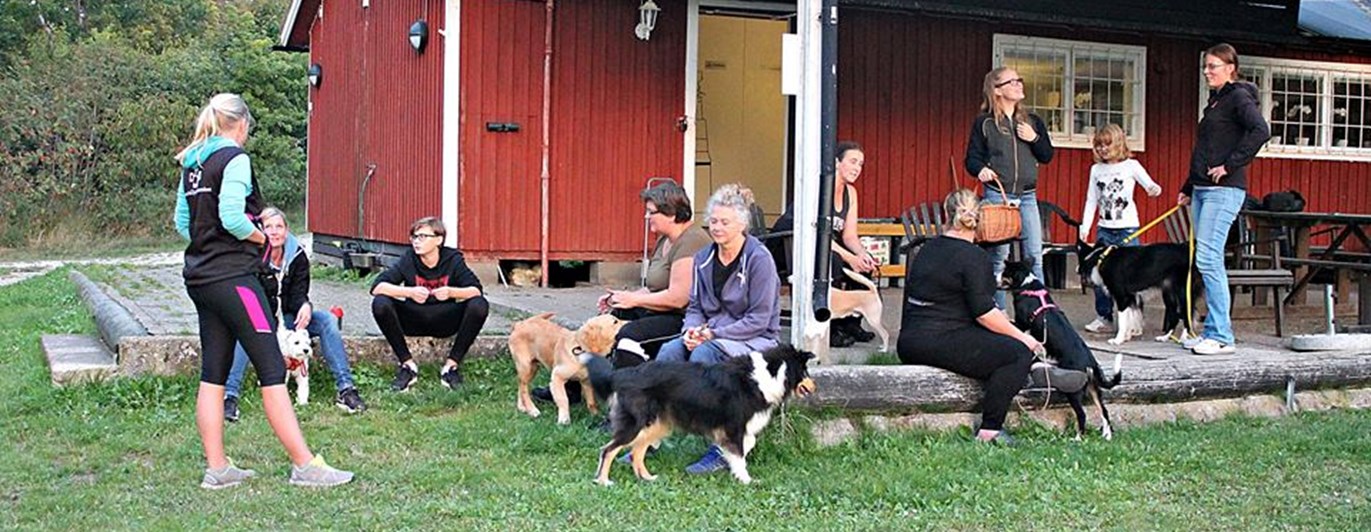 Medlemmar vid stugan