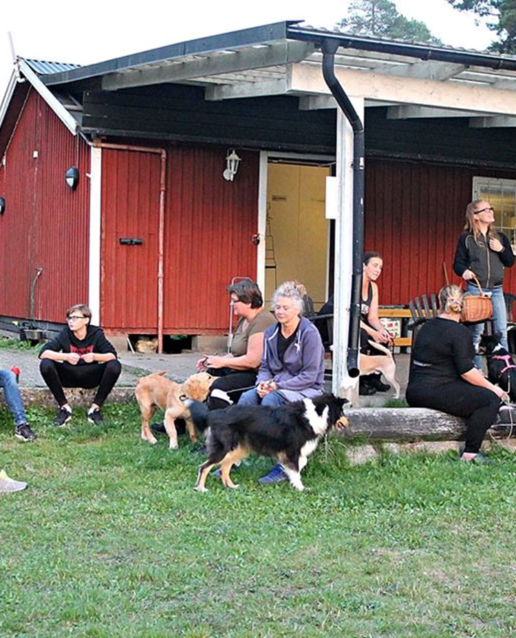 Medlemmar vid stugan