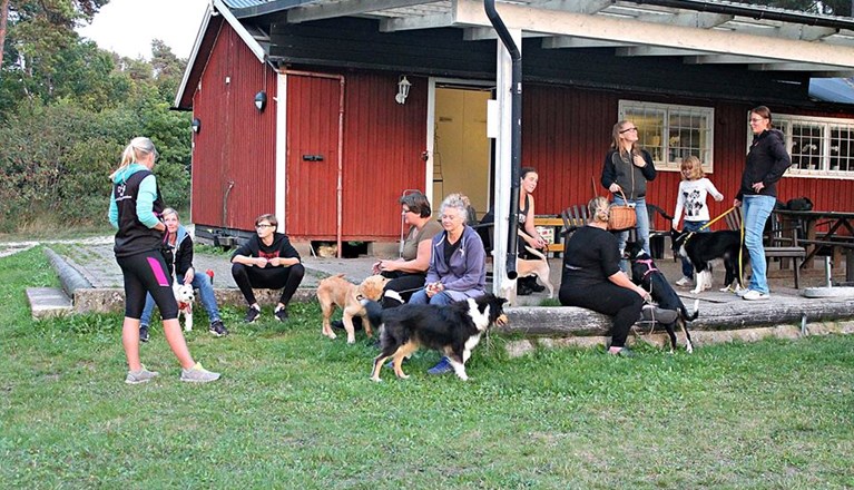 Medlemmar vid stugan