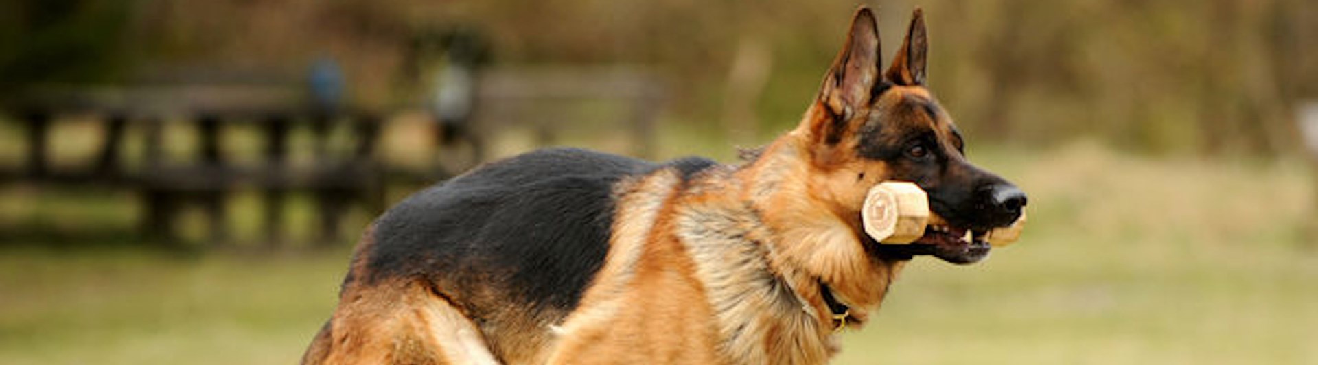 Foto: Julia Indergand