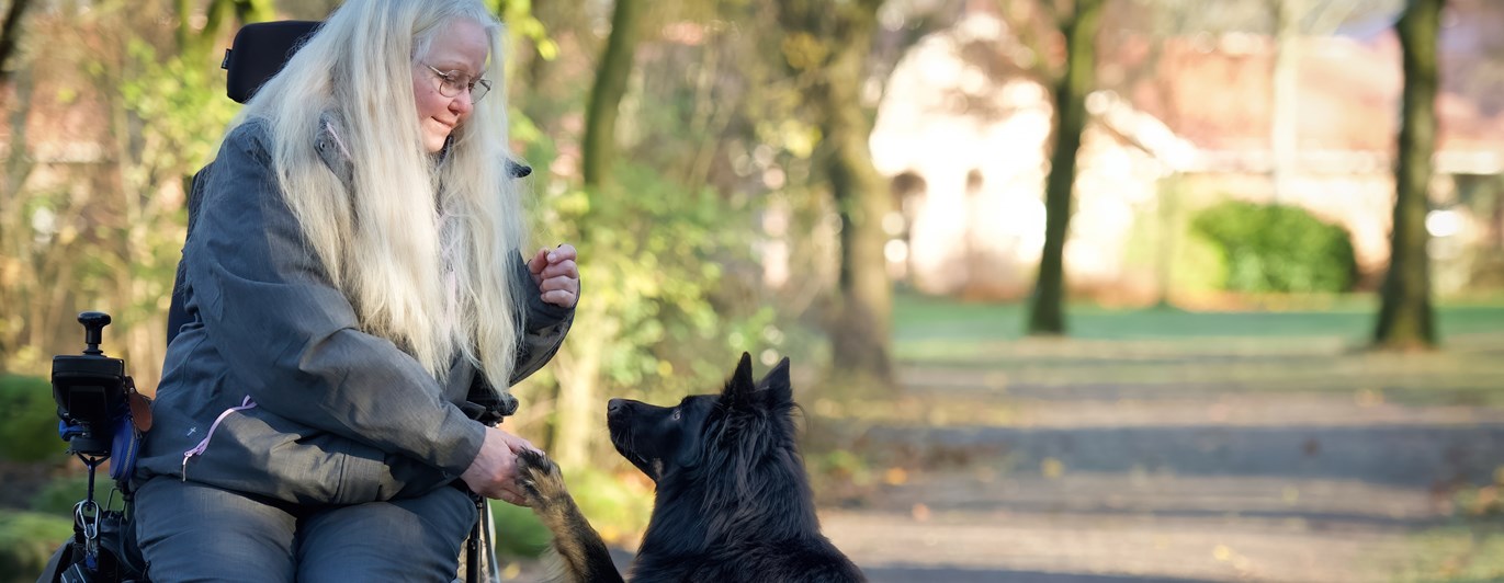 Årets Tjänstehund 2024 är diabeteshunden Gino. På bilden syns han tillsammans med sin matte.