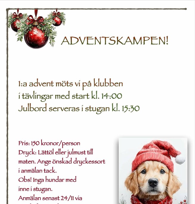Adventskampen Nyköpings bk 2025