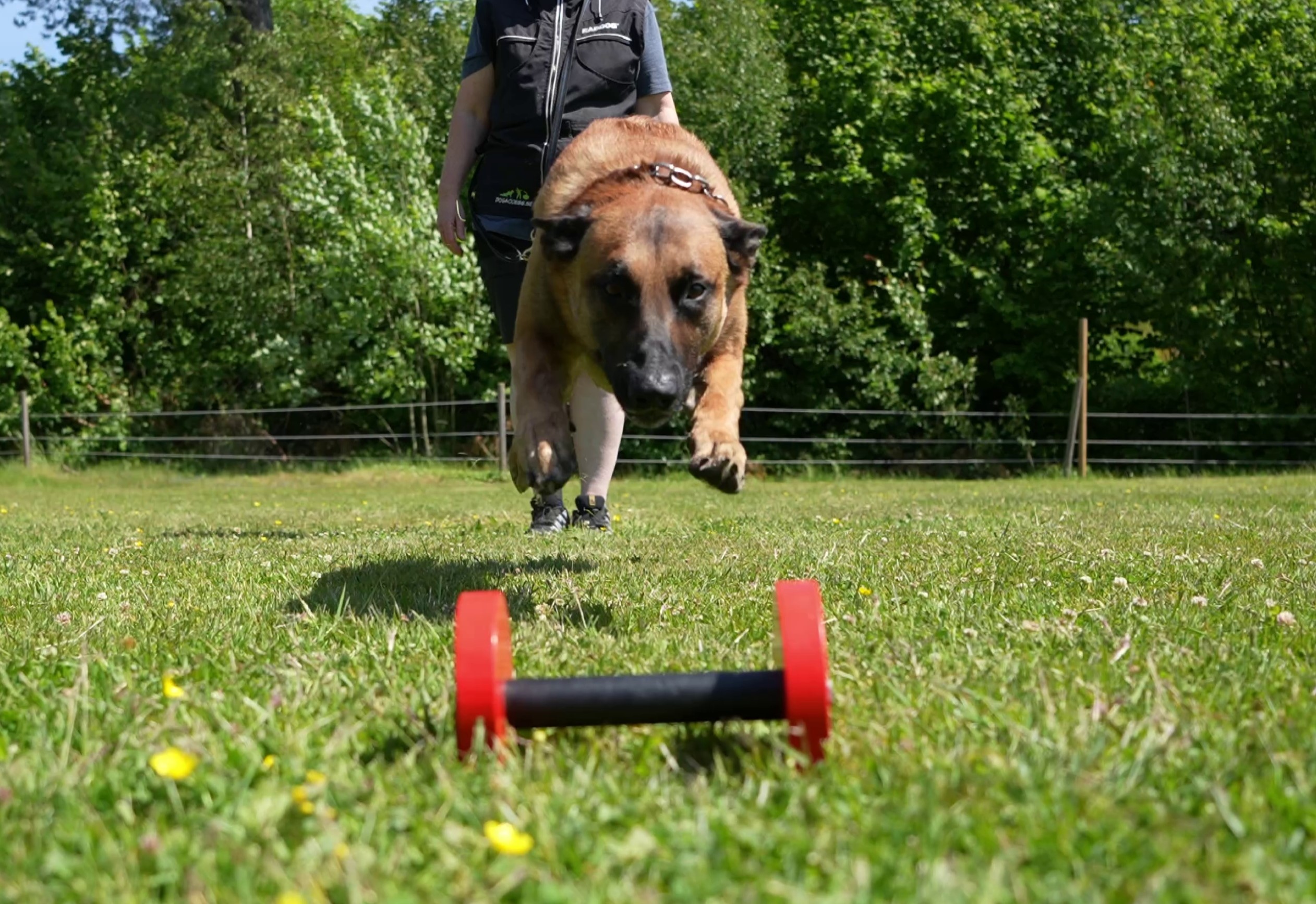 Full fokus mot tungapport