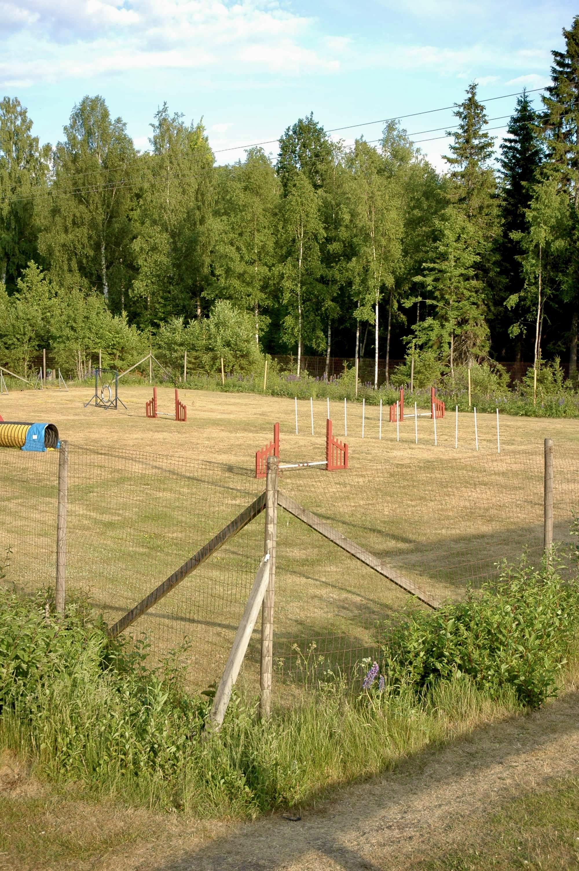 Bild på en  MBK:s agilitybana 