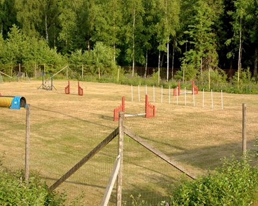 Bild på en MBK:s agilitybana