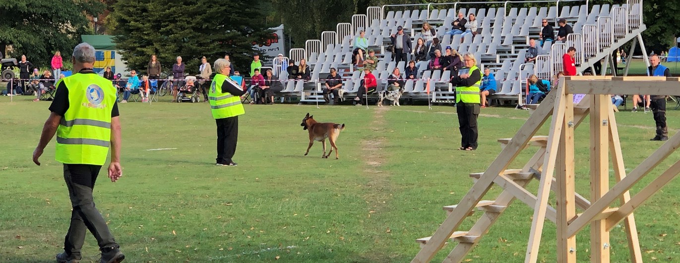 Funktionär vid bruksprov