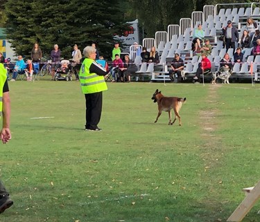 Funktionär vid bruksprov