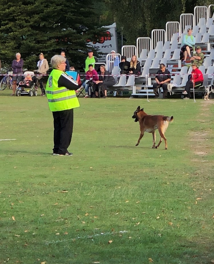 Funktionär vid bruksprov