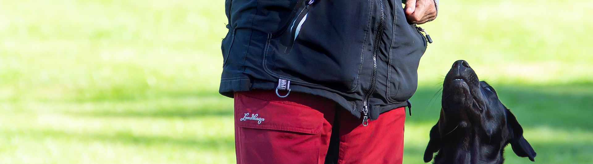 Labradoren Skoja sitter fint på vänster sida om sin förare, en äldre dam med grått hår. Rallyskylt till höger om ekipaget instruerar.