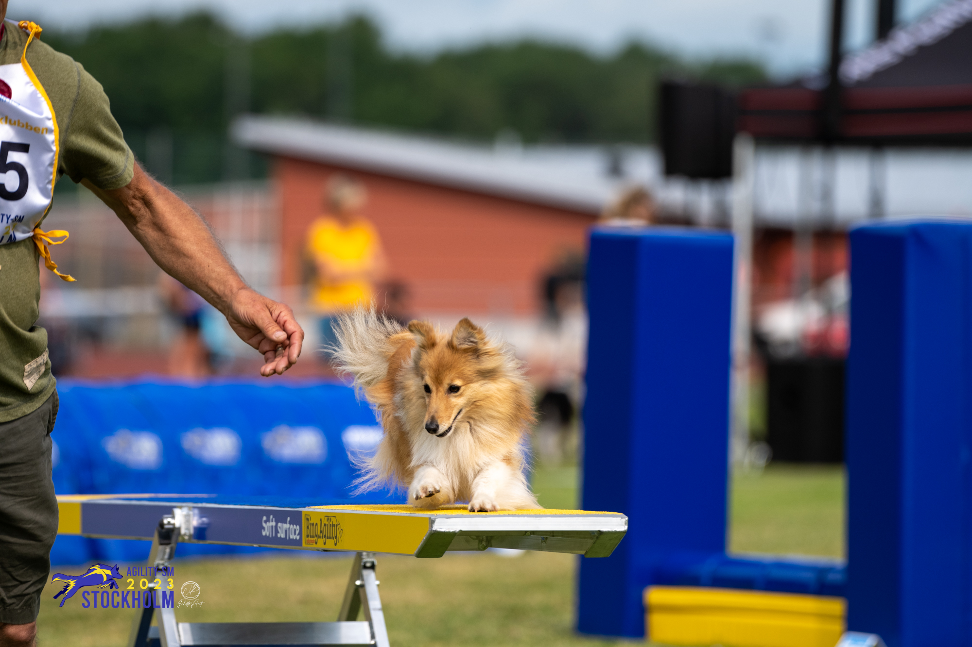 Turid på gungan tillsammans med Kari Haponen