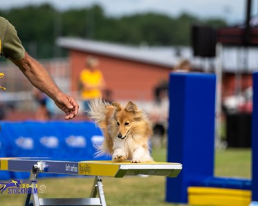 Turid på gungan tillsammans med Kari Haponen
