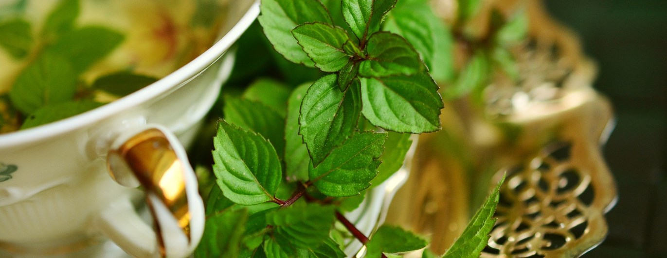 Tekopp med guldkant och pepparmynta