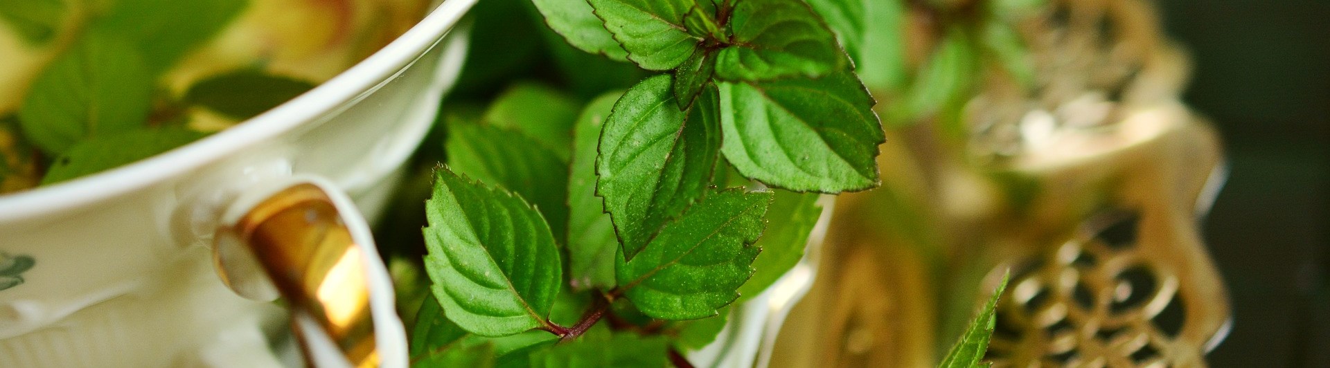 Tekopp med guldkant och pepparmynta