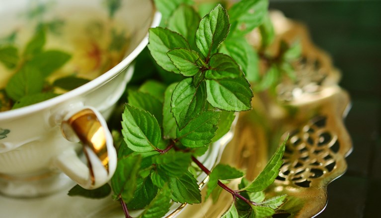 Tekopp med guldkant och pepparmynta