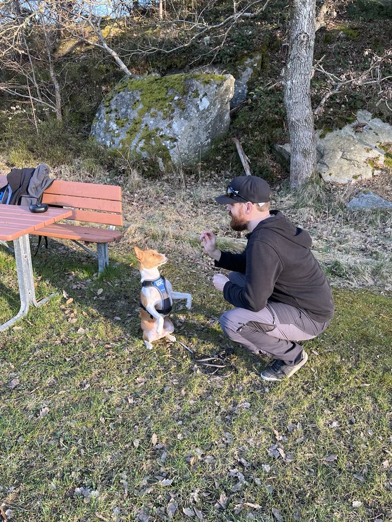 Torslanda-Öckerö Brukshundklubb