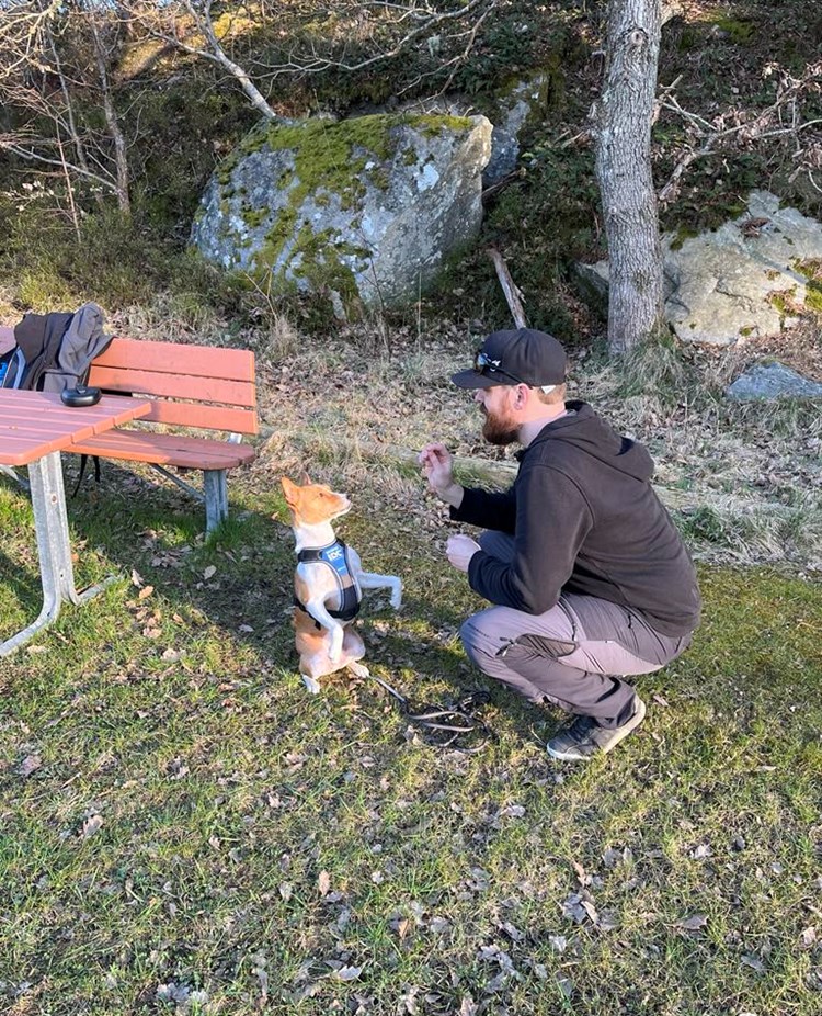 Torslanda-Öckerö Brukshundklubb