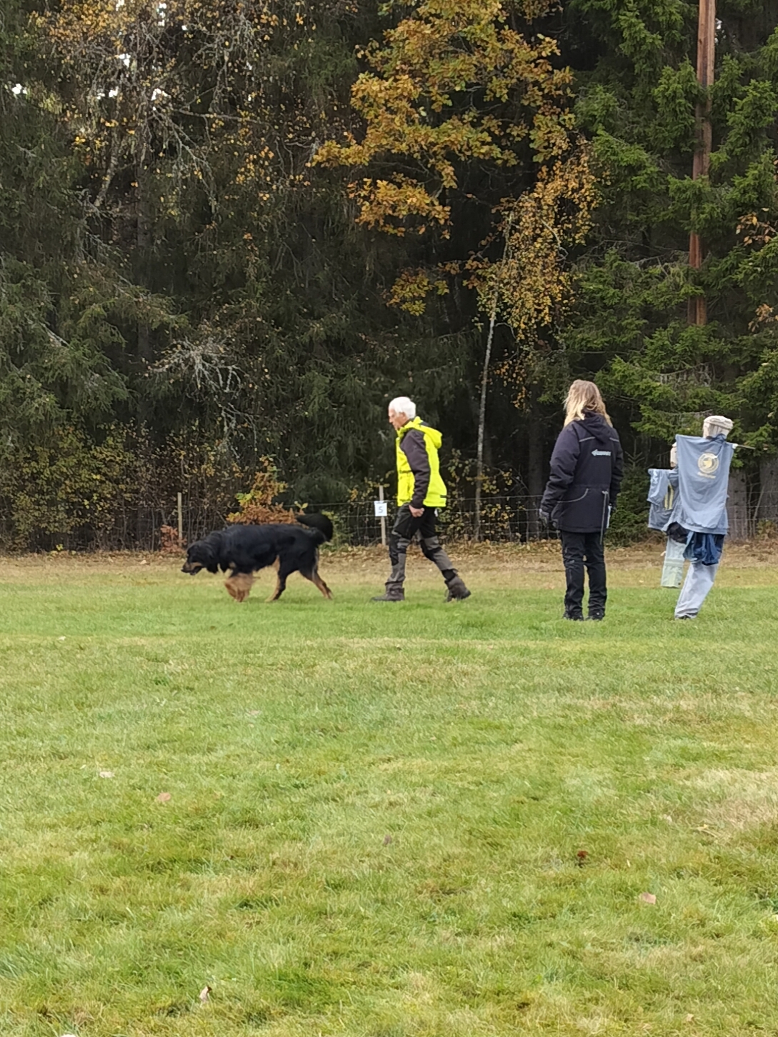Träning av framåtsändande 
