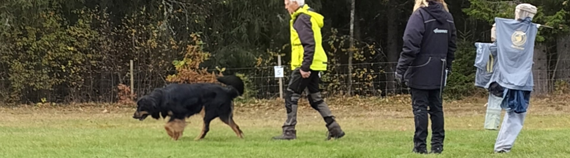 Träning av framåtsändande