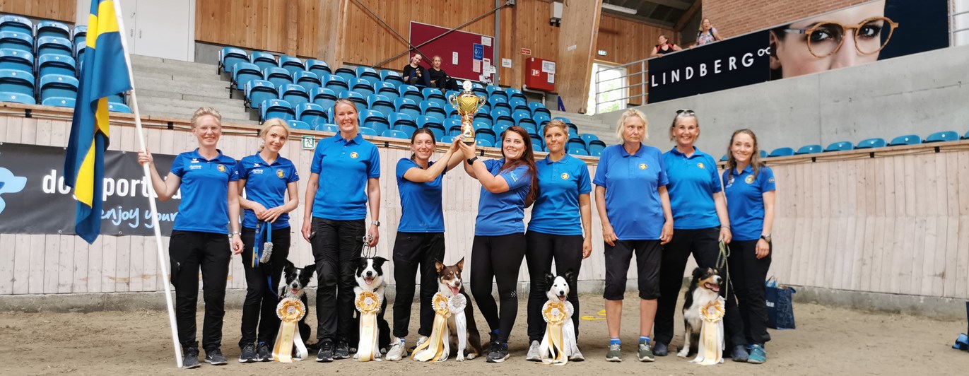 Bild på det svenska landslaget i lydnad med sin pokal
