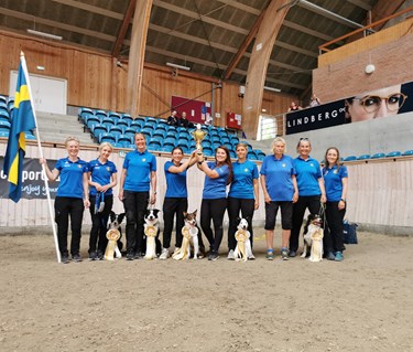 Bild på det svenska landslaget i lydnad med sin pokal