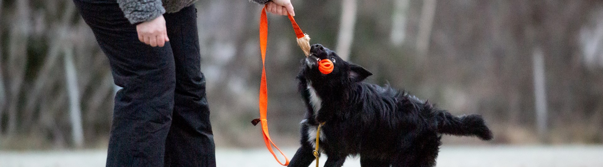 Vip leker
Bild: Alva Högkvist