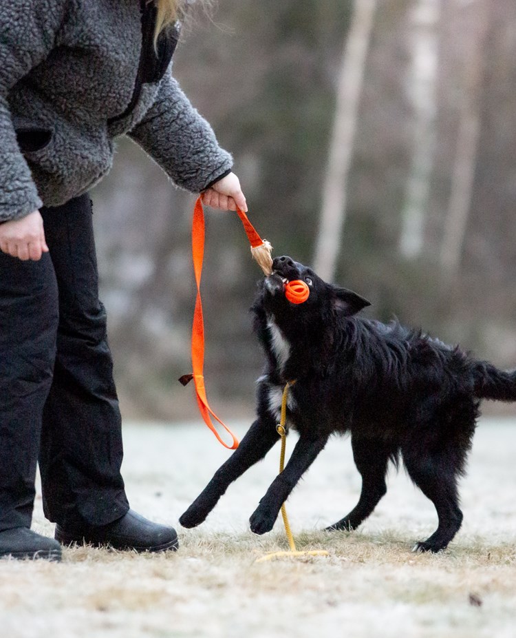 Vip leker
Bild: Alva Högkvist